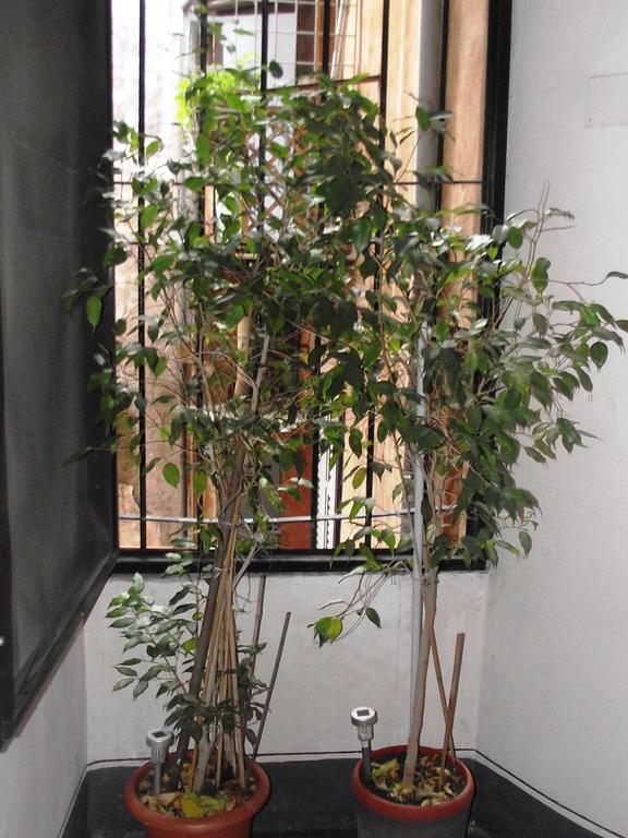 Argentina Suites Inn Roma Exterior foto